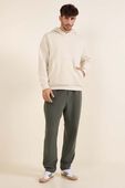 Steady State  Pant Regular